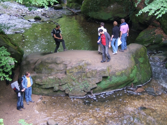 http://www.fordpflanzen.de/bilder/rolf/2007-Bourscheid/Wandern (34).JPG